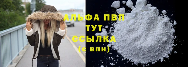 круглые Иннополис