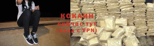 кокс Инсар