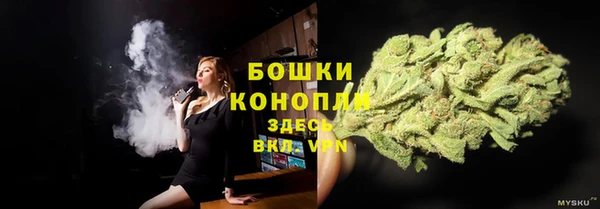 круглые Иннополис