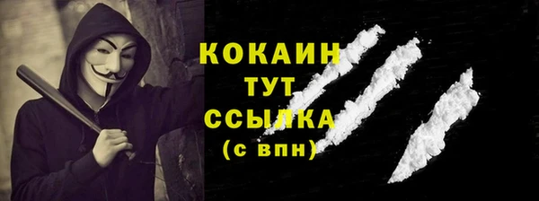 МДПВ Инта