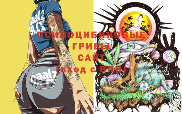 МДПВ Инта