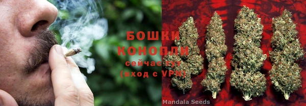 круглые Иннополис