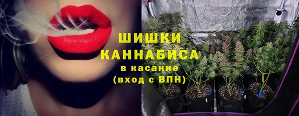 МДПВ Инта