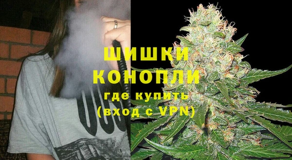 МДПВ Инта