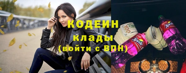 стаф Каменка