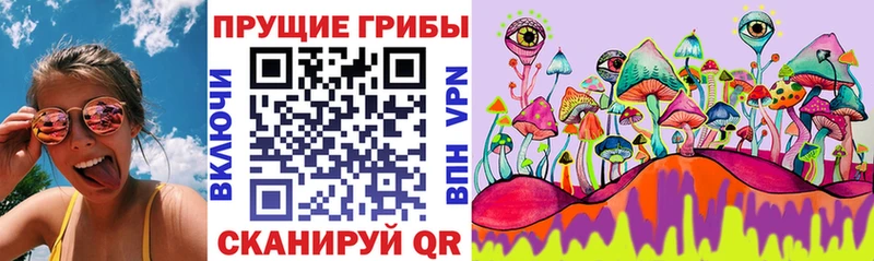 Купить  Сальск  Псилоцибиновые грибы MAGIC MUSHROOMS 