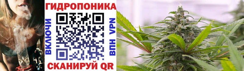 Купить где  Сальск  Марихуана Ganja 